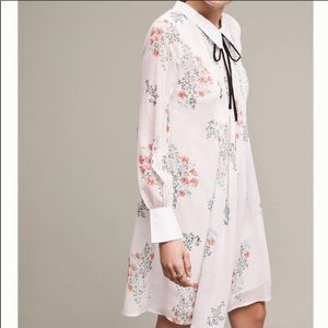 Anthropologie HD In Paris Louisa Swing Dress XSP